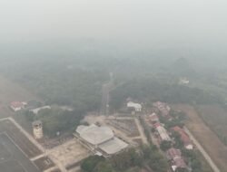 Dampak Karhutla Meluas, Kabut Asap Selimuti Kalimantan Hingga Papua