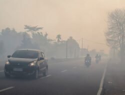 Tim Pemadam Kebakaran Jepang Temui Kendala Serius Padamkan Karhutla di Indonesia