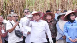 KSP Pastikan Keamanan Petani Tebu Register 44 Way Kanan Saat Masa Panen