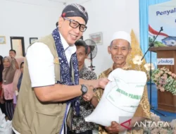 Bulog Pastikan Penyaluran Bantuan Pangan Beras Berlanjut Hingga Desember 2026