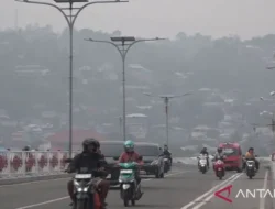 DPR Desak Pemerintah Segera Tetapkan Karhutla Sebagai Bencana Nasional