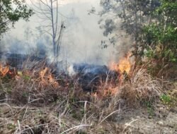 269 Karhutla Hanguskan 621 Hektare Lahan di PPU Sepanjang 2026
