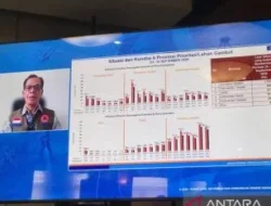 BNPB Berhasil Tangani 379.973 Hektare Karhutla di Enam Provinsi Prioritas
