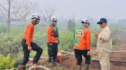 Presiden Prabowo Instruksikan Penanganan Karhutla Masif Tanpa Menunggu Hujan